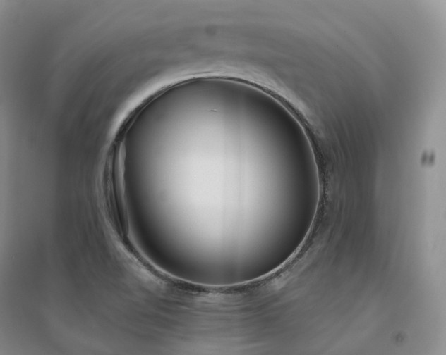 X0000094461510200711151438