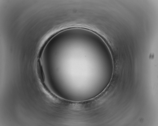 X0000094461511200711151438