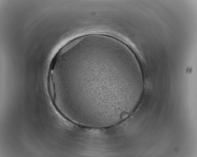 X0000094461512200711151438
