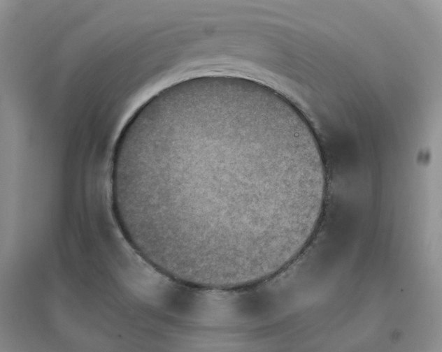 X0000094461514200711151438