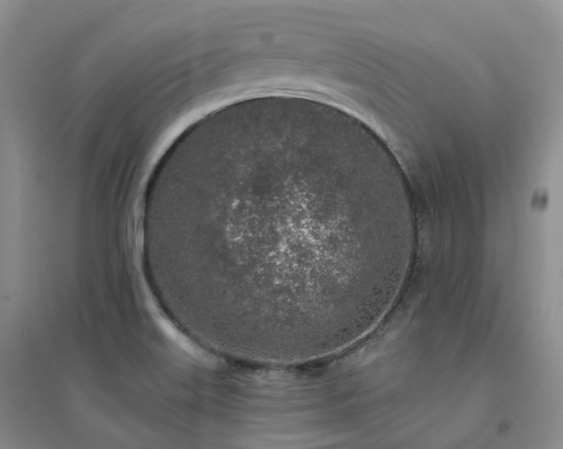 X0000094461515200711151438