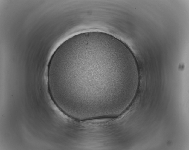 X0000094461516200711151438