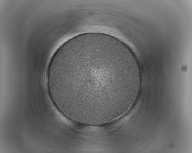 X0000094461517200711151438