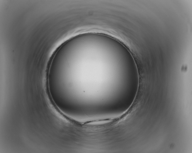 X0000094461518200711151438