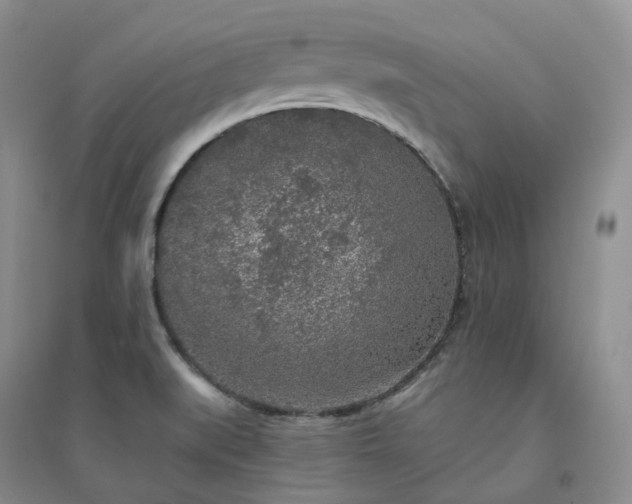 X0000094461519200711151438