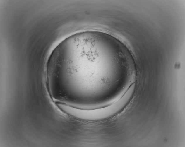 X0000094461520200711151438