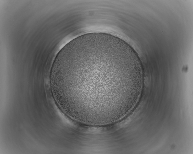 X0000094461521200711151438