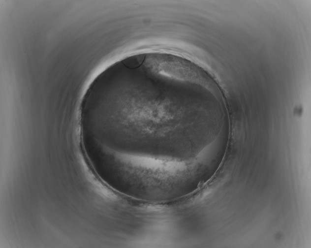 X0000094461522200711151438