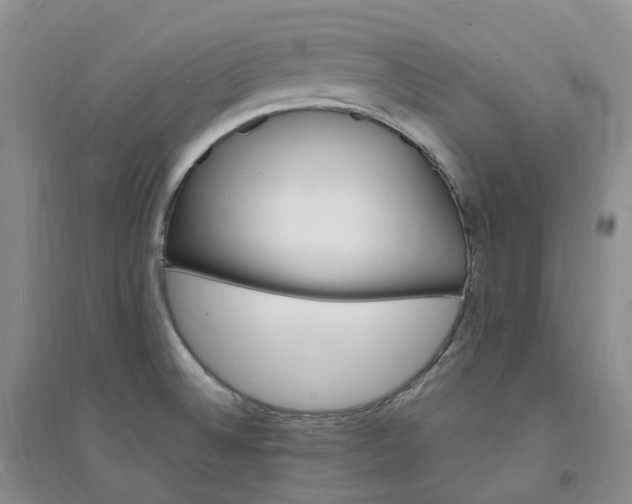 X0000094461524200711151438