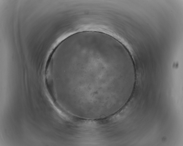 X0000094461525200711151438