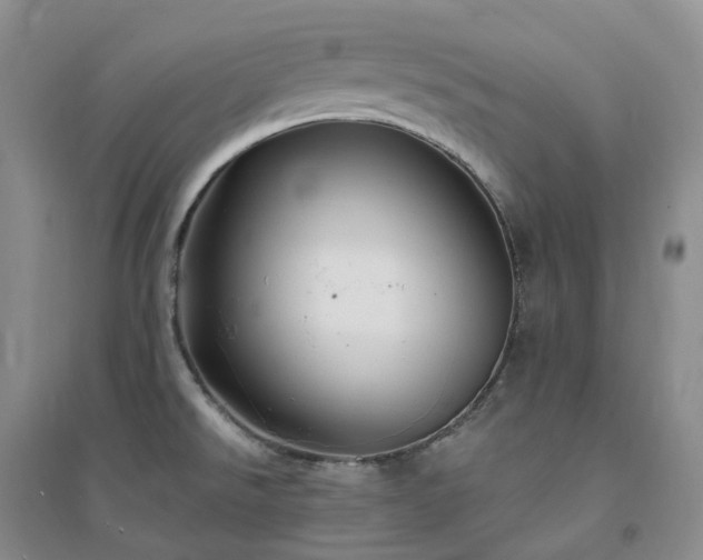 X0000094461526200711151438