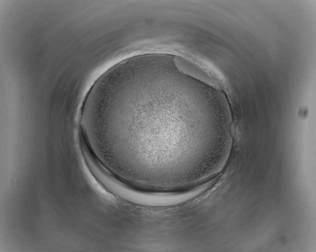 X0000094461528200711151438