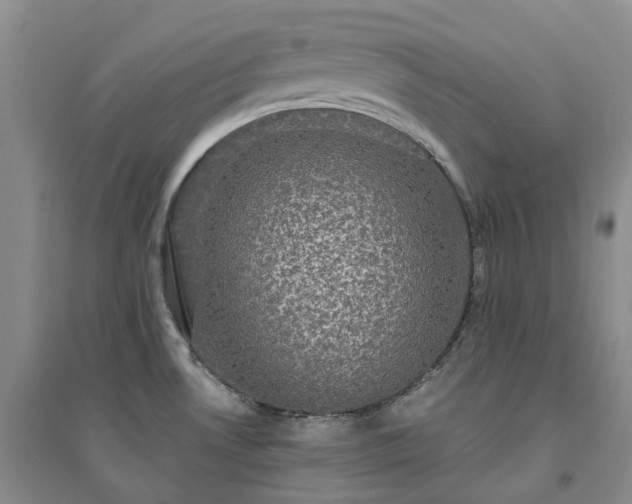 X0000094461530200711151438