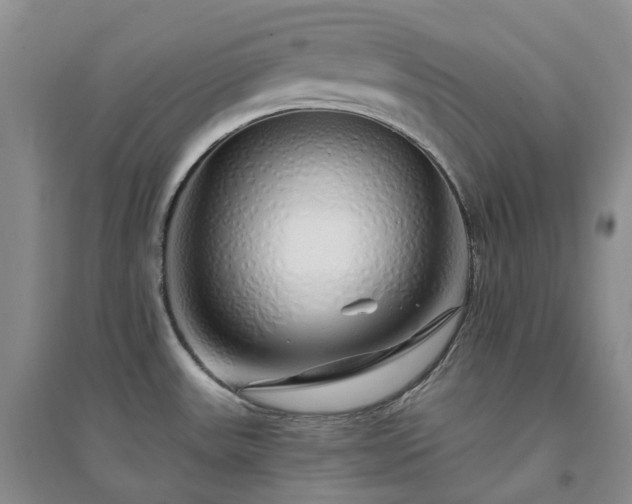 X0000094461531200711151438