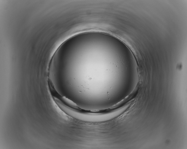 X0000094461532200711151438