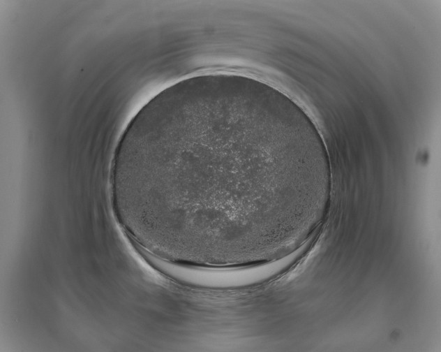 X0000094461533200711151438