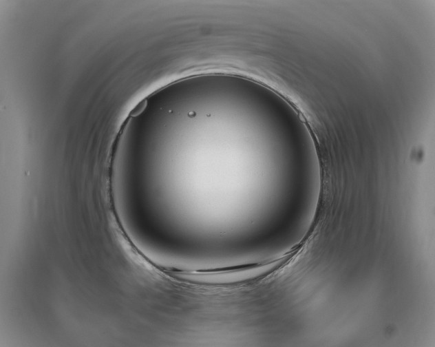 X0000094461534200711151438