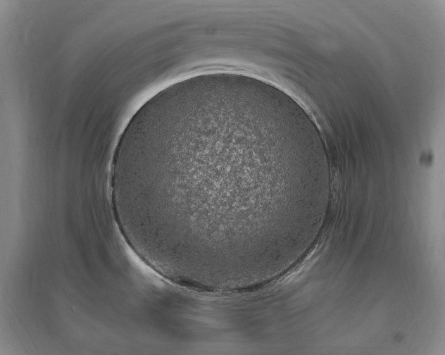 X0000094461535200711151438