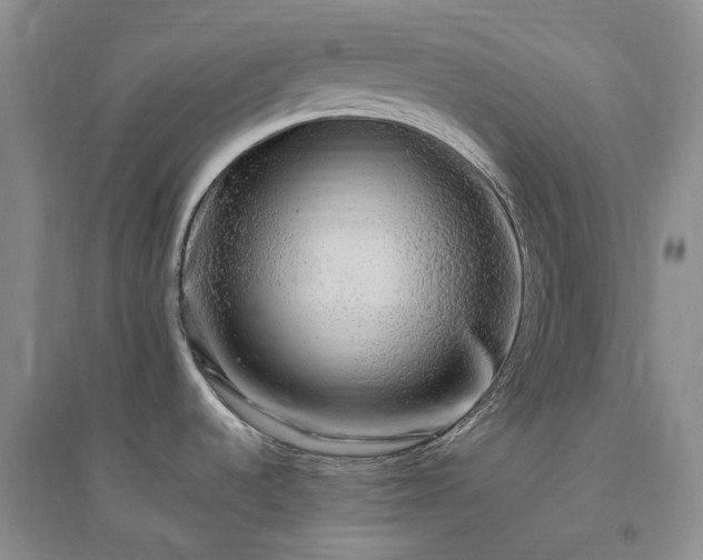 X0000094461536200711151438