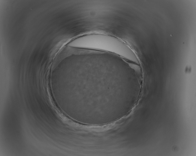 X0000094460001200711211551