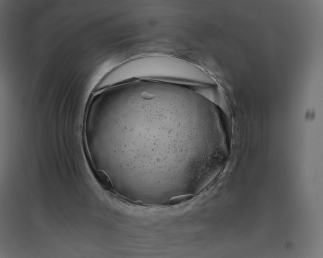 X0000094460003200711211551