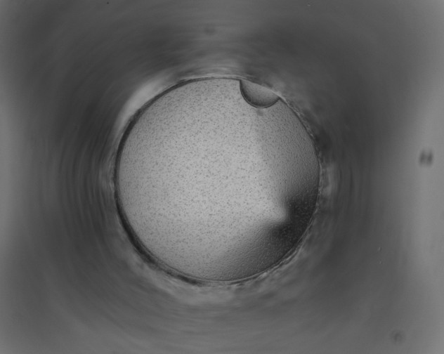 X0000094460004200711211551