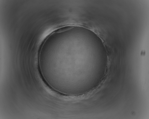 X0000094460005200711211551