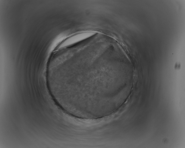 X0000094460006200711211551