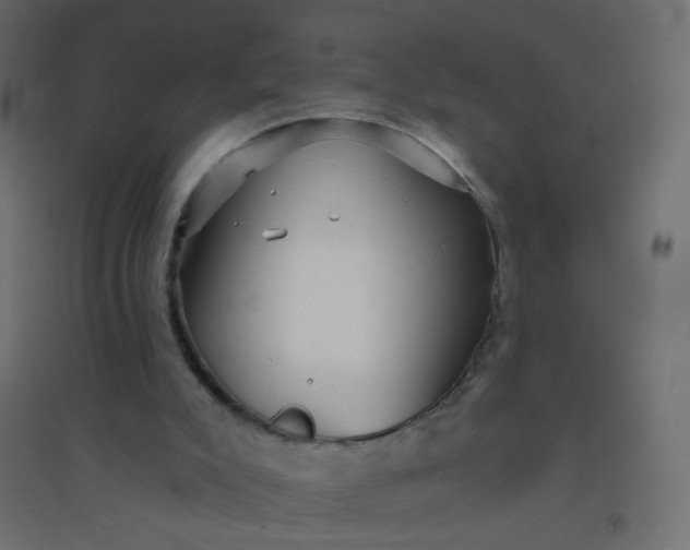 X0000094460007200711211551