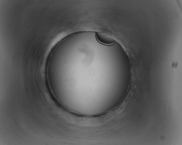 X0000094460008200711211551