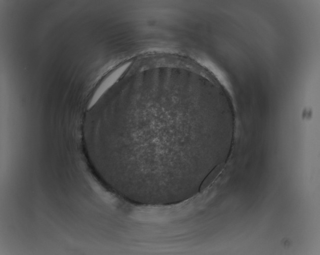 X0000094460009200711211551