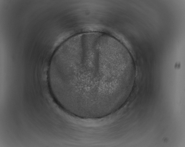 X0000094460010200711211551