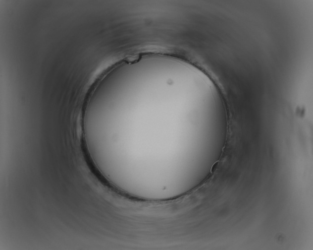 X0000094460011200711211551