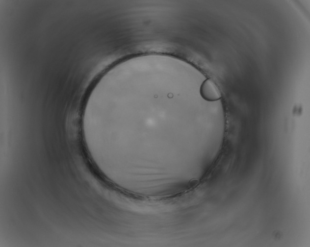 X0000094460012200711211551