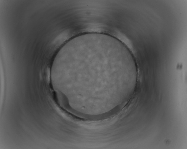 X0000094460013200711211551