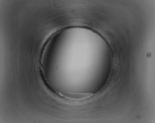 X0000094460015200711211551