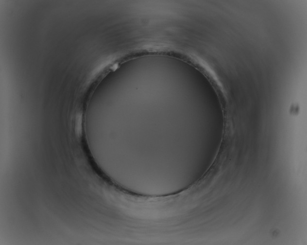 X0000094460019200711211551