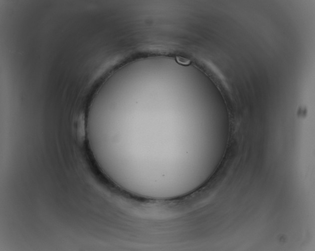 X0000094460020200711211551