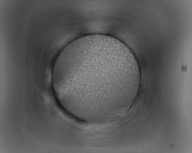 X0000094460021200711211551