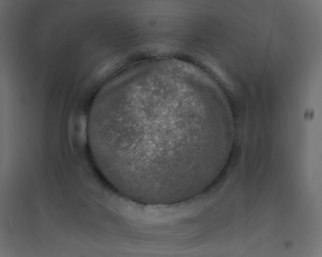 X0000094460022200711211551