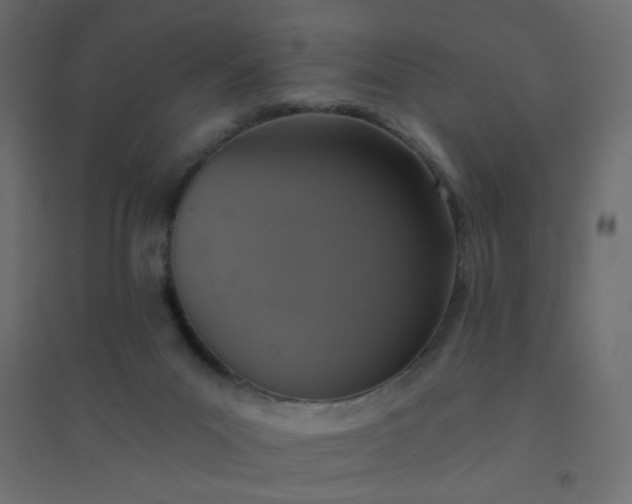 X0000094460023200711211551