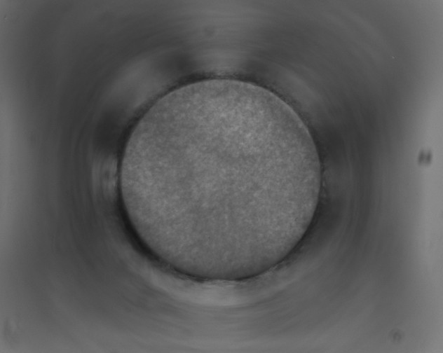 X0000094460024200711211551