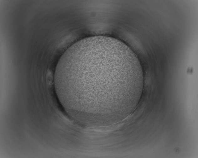 X0000094460025200711211551