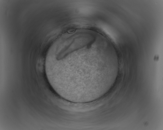 X0000094460026200711211551