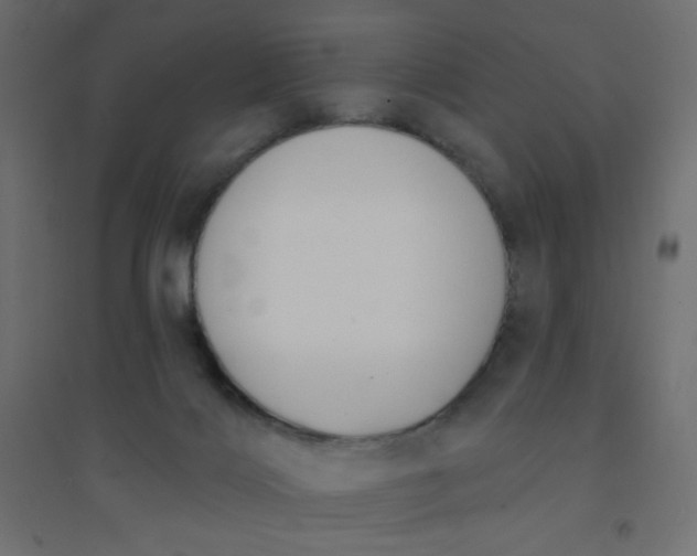 X0000094460028200711211551