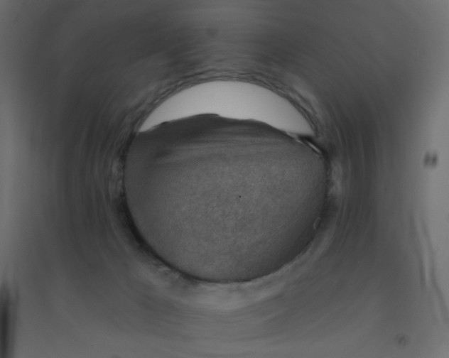 X0000094460029200711211551