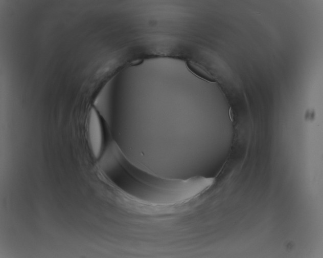 X0000094460031200711211551