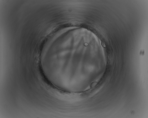 X0000094460032200711211551