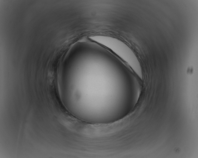 X0000094460033200711211551