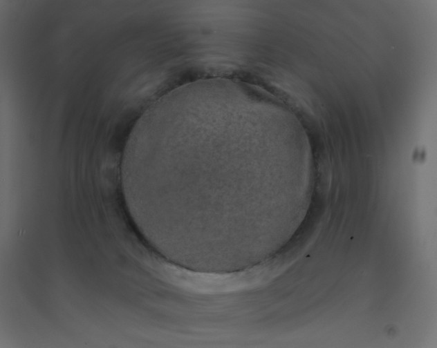 X0000094460034200711211551